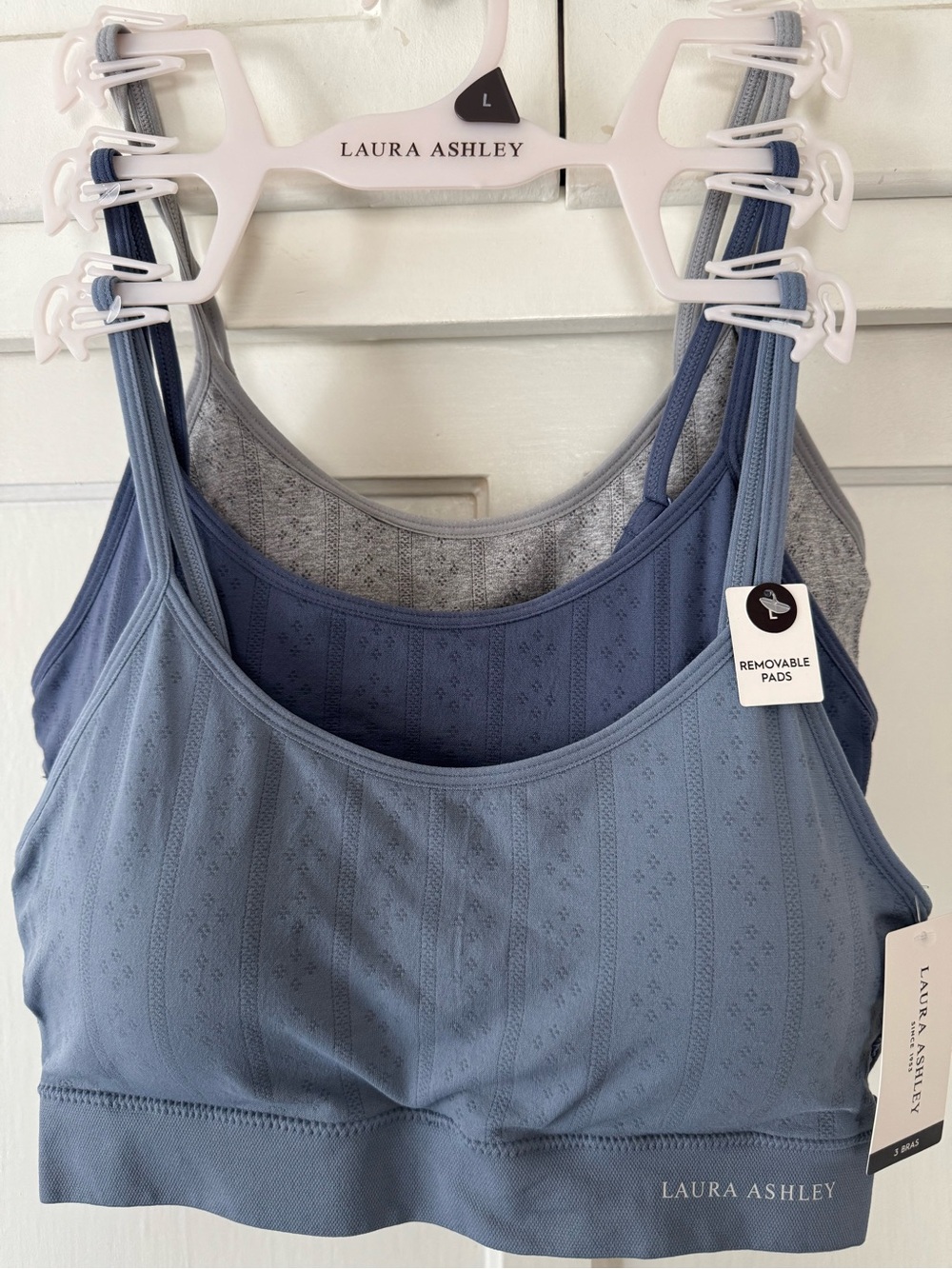 Laura Ashley Blue & Gray Seamless Bralette Set